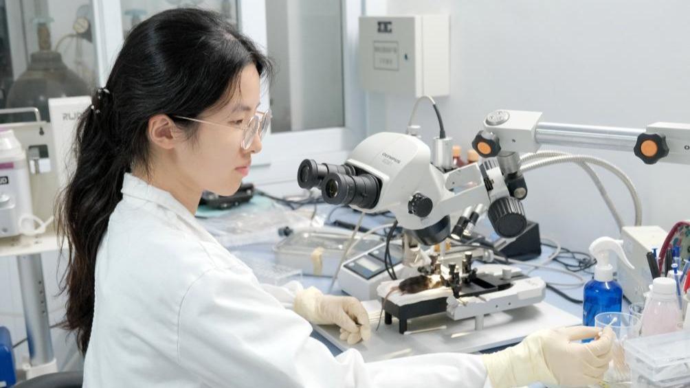 开启脑科学“彩色视界”：我国成功研制多色微型化双光子显微镜