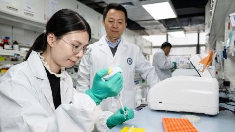 我国新型基因治疗策略有望推动孤独症、癫痫等疾病治疗