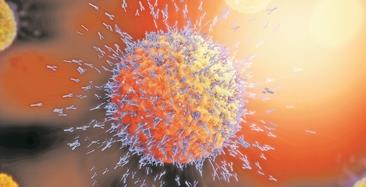 高分辨率人群免疫多组学图谱完成绘制 “细胞士兵”有了“身份证”