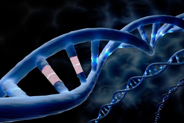 先导编辑首次在人体内“改写”DNA