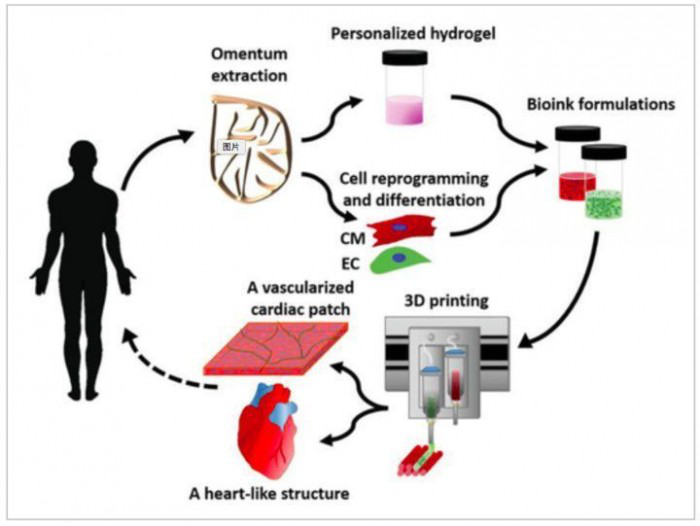 微信图片_20200603202246