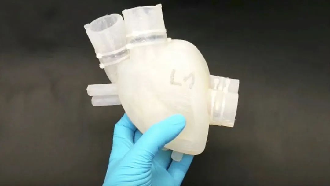 微信图片_20200603202250