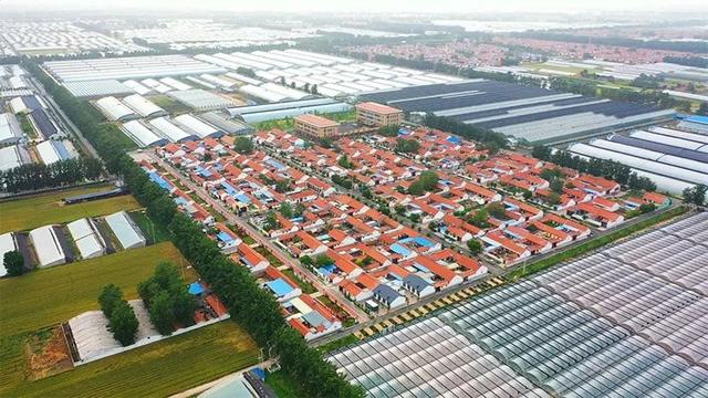 1598327593120886.jpeg 寿光.jpeg