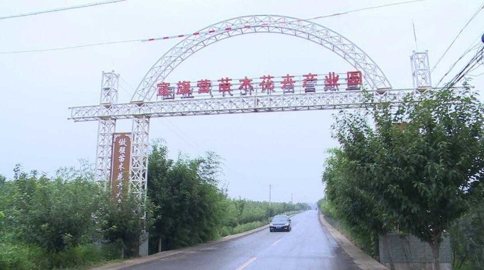 1600353392152487.jpeg bb32810b03ee69fd81f1b0a6c9ffa2aa.jpeg