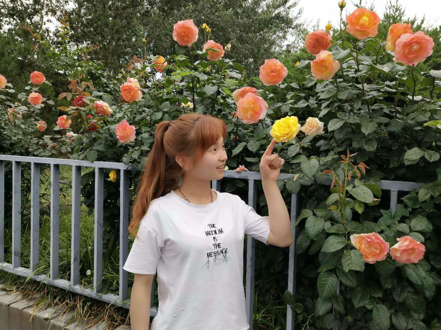 微信图片_20180523193147