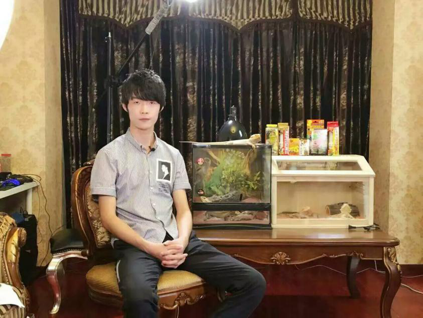 图片1
