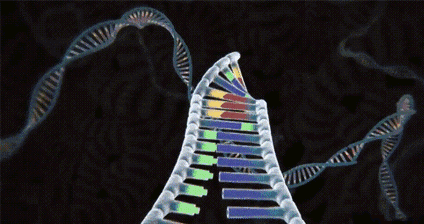 以色列的黑科技：任何物体都可以完美克隆