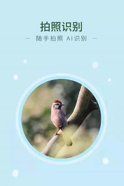 让一群脑洞清奇的开发者告诉你，AI+产业的N种可能