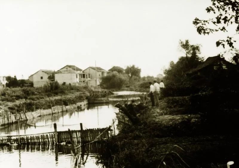 揭秘“创业公司”张江高科成长史：从农田到上海“西二旗”