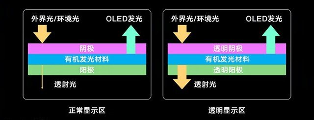 CES 2020 前瞻 | 这可能是最好玩的一届：苹果回归，5G 唱主角，TCL 三星上演“大屏”较量