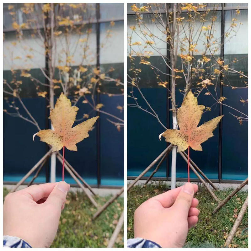 小米的一亿像素，到底有什么用？