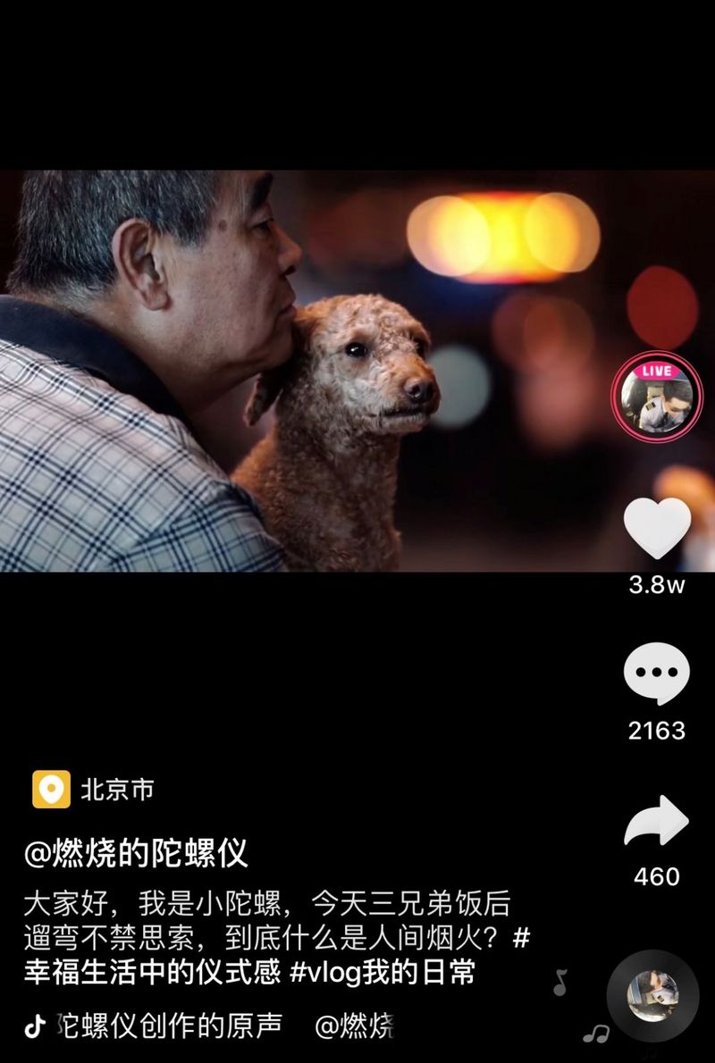 这届抖音年轻人，把短视频搞成了艺术大片