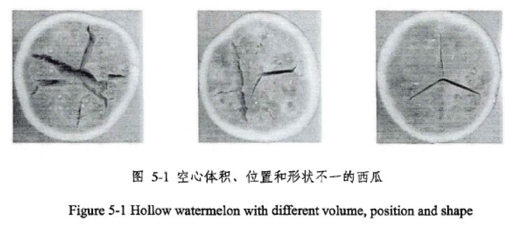 甜过初恋！浙大博士用200个西瓜130页论文，教你用机器学习科学挑瓜