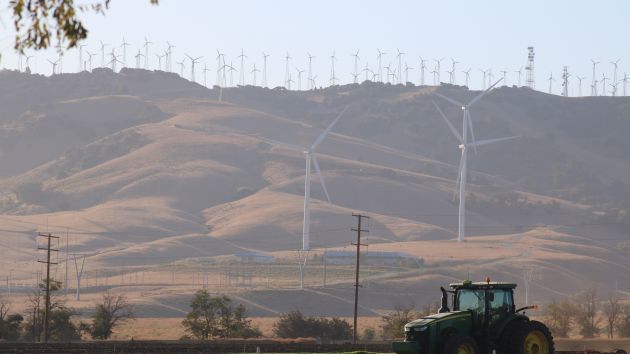 为什么互联网巨头都盯上了可再生能源？