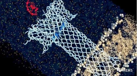 潮科技 | 利用毒素开发细胞级生物传感器