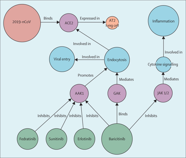 AI帮助检索新冠肺炎对症药，研究发现“巴瑞替尼”存在治疗潜力