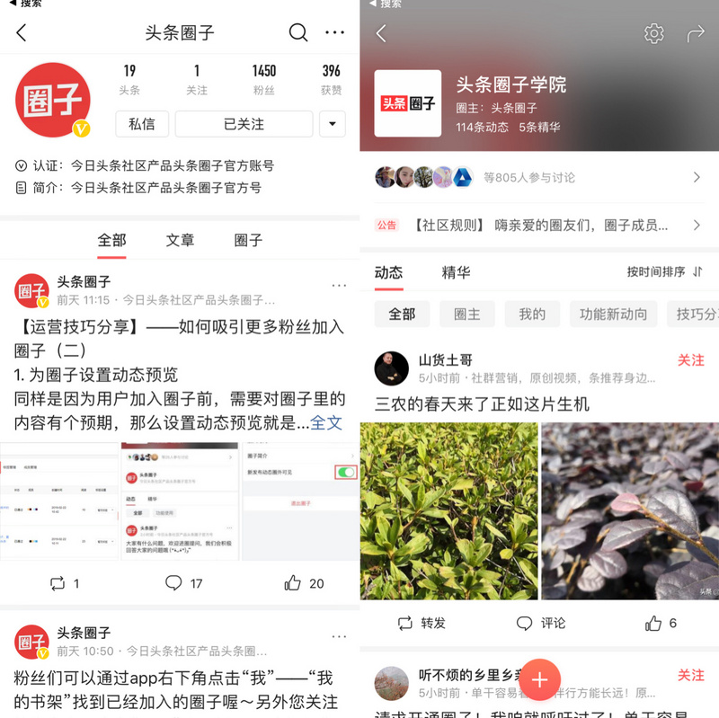 焦点分析 | “头条圈子”能帮今日头条突破流量天花板吗？