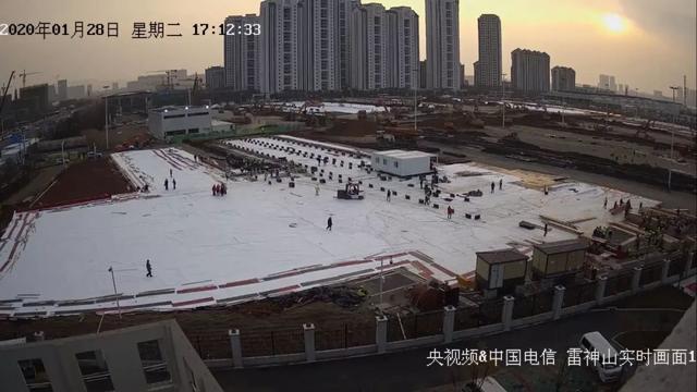 为什么79万人深夜看「直播造医院」